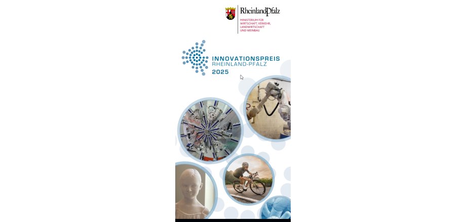 Flyer Innovationspreis 2025